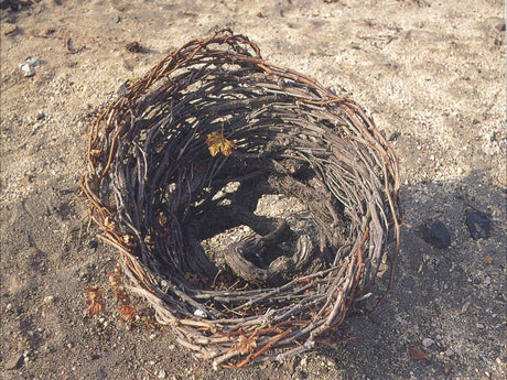 ΠΟΠ Σαντορίνη